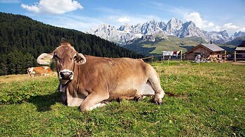 Weekend Relax & Montagna