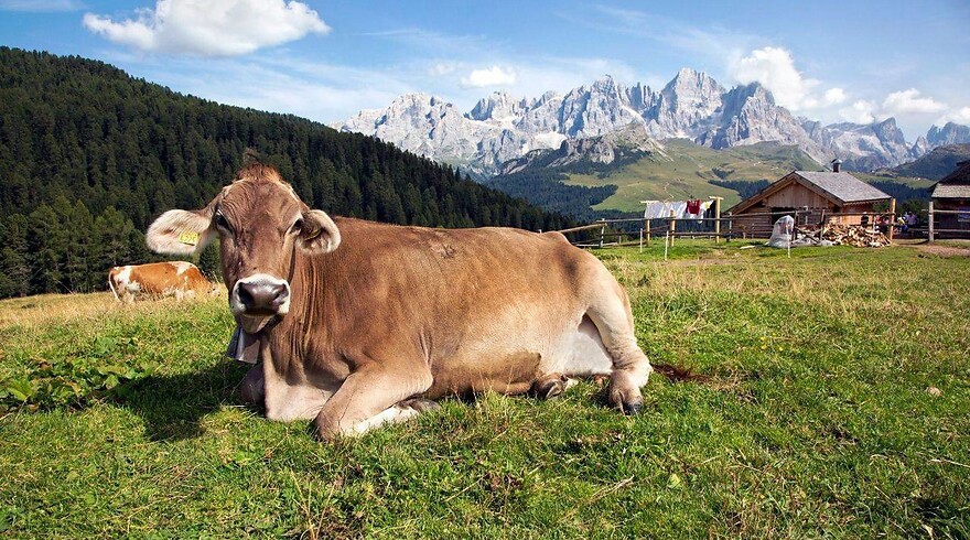 Weekend Relax & Montagna
